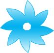 Design Icon