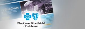 Photo of BlueCross BlueShield website